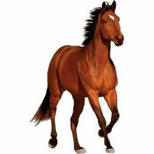 Rivers Edge Magnetic Bay Horse Truck Car Art Non-Adhesive Removable Gift NEW